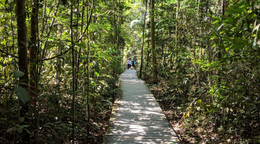 The Best Charleston Area Outdoor Trails